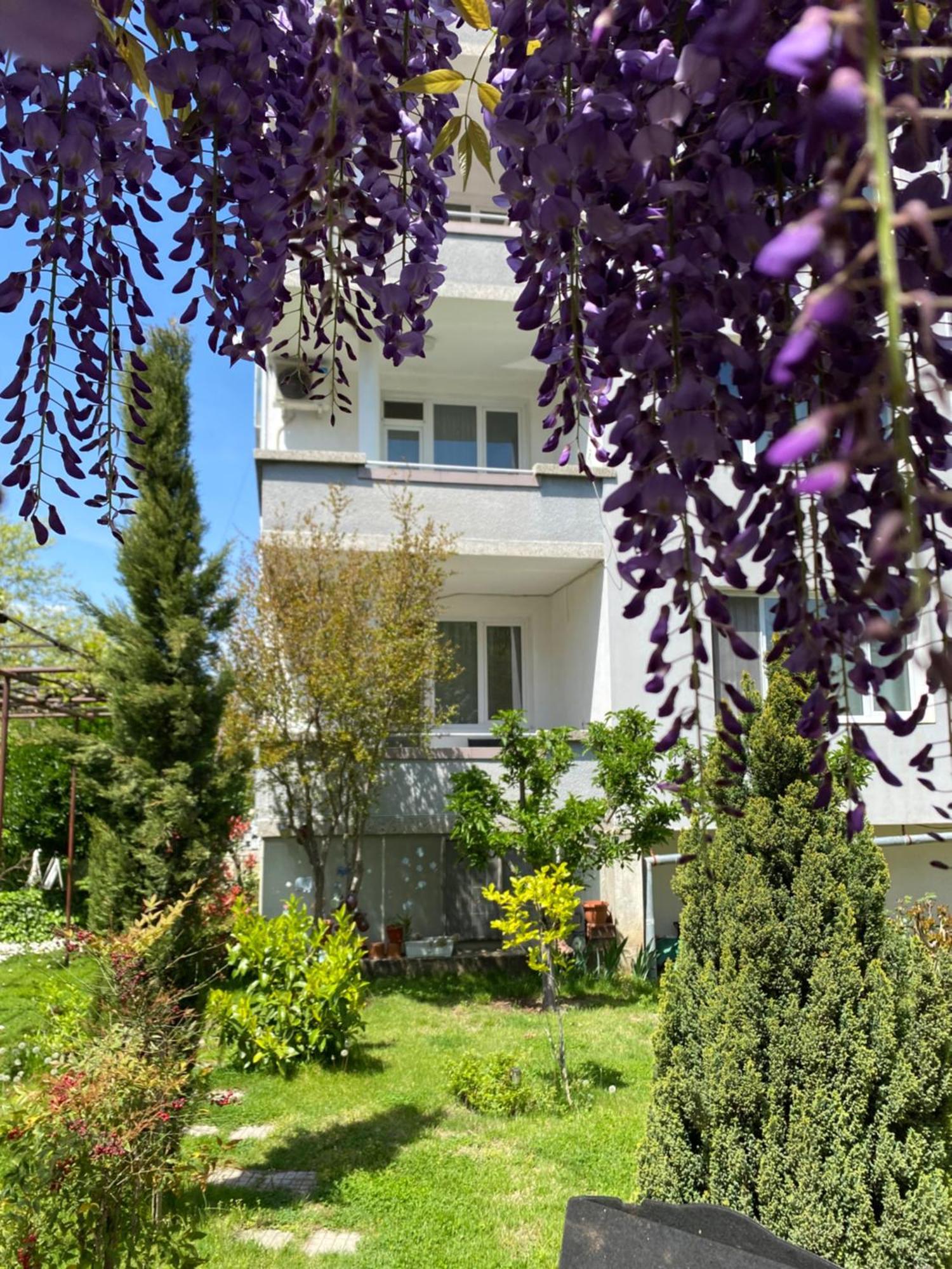 Family Hotel "May" Petricz Zewnętrze zdjęcie